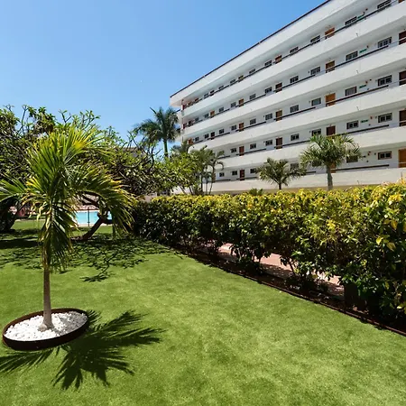 아파트 Palm View Camelias