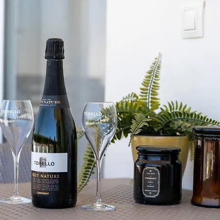 Palm View Camelias 플라야 델 잉글스