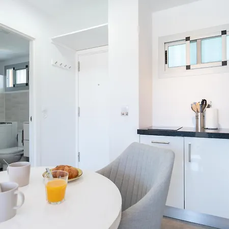 Palm View Camelias 플라야 델 잉글스