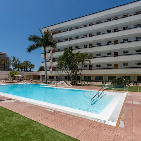 Palm View Camelias *