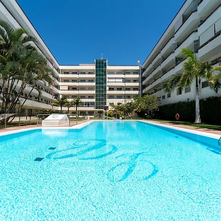 Palm View Camelias 公寓 *