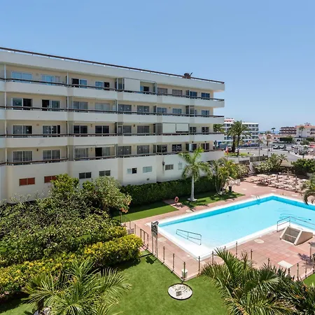 Palm View Camelias *