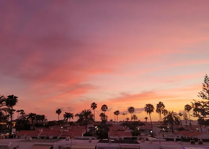 Palm View Camelias * Πλάγια ντελ Ινγκλές