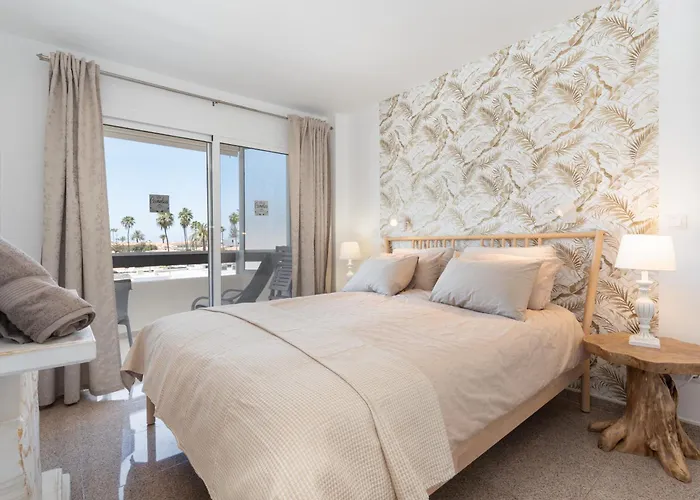 Palm View Camelias * Πλάγια ντελ Ινγκλές