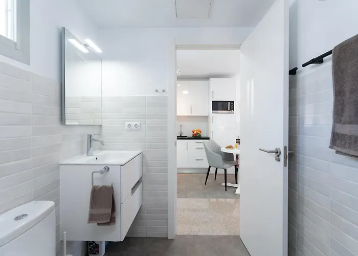 Palm View Camelias *