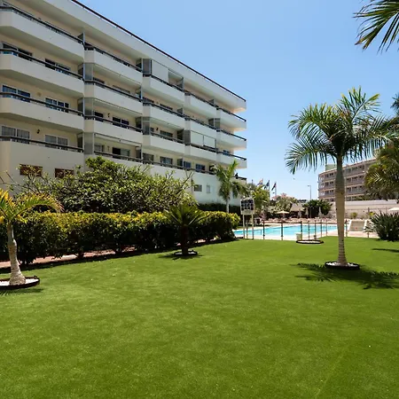 Apartment Palm View Camelias