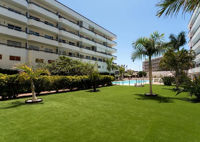 Apartment Palm View Camelias