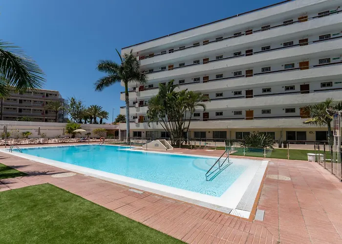 Palm View Camelias *