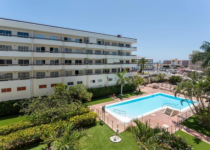 Palm View Camelias *