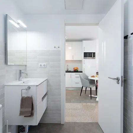 Palm View Camelias *